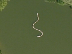 Giant snake (Giant) - cache image