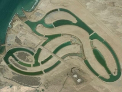 Meli melo (Human made)