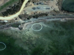 Fish circle (Human made)