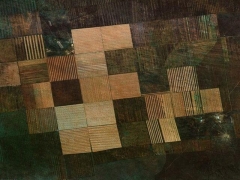 Tissue patchwork (Look Like)