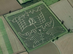 Art field : sailing boat (Art)