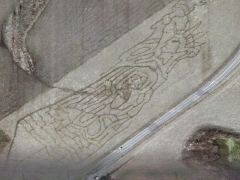 Art field : Statue of Liberty (Art)