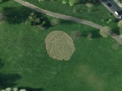 Fingerprints (Art) - cache image