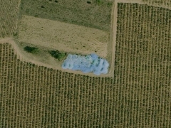 Fertilizer for wine (Human made)