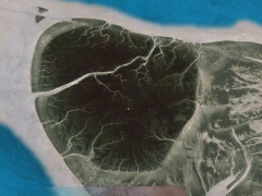 Heart and vein (Look Like) - cache image