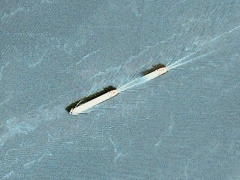 Fadding boat (Ghost) - cache image