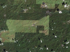 Deforestation in Malaisia (Pollution)