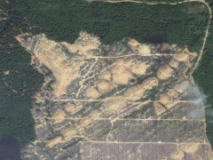 Deforestation in Malaisia 3 (Pollution)