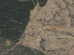 Deforestation in Malaisia 6 (Pollution)