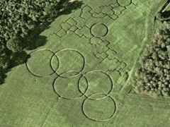 Art field : Olympic maze (Art)
