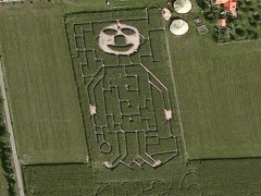 Art field : human (Art)