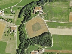 Majijuana ? (Human made)