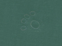 Teddy footprint (Look Like)