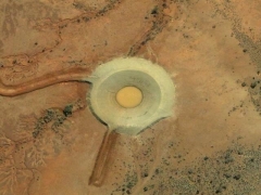 Egg (Look Like) - cache image