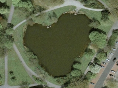 Heart pond (Look Like)