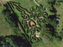 Heart little maze (Look Like)