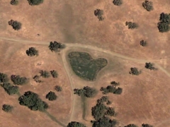 Heart pond (Look Like)