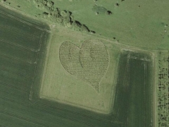 Heart field (Look Like)
