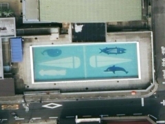 Fish pool (Look Like) - cache image