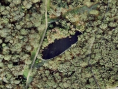 Fish pond (Look Like) - cache image