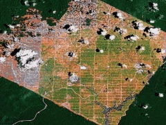 Square garden (Pollution) - cache image
