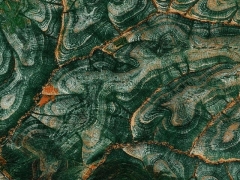 Green wood (Landscape) - cache image