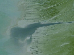 River in sea (Landscape) - cache image