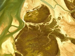 Big bear (Landscape) - cache image
