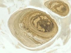 Planet Venus (Look Like) - cache image