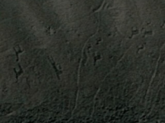 Animal geopglyph (Human made)