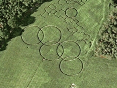 Olympic rings field (Art)