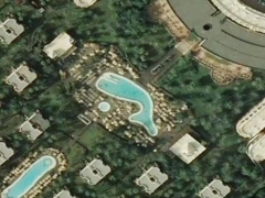 Whale pool (Look Like)