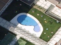 Whale pool (Look Like) - cache image