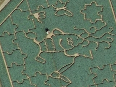 Puzzle field (Art)
