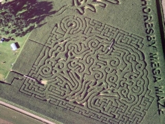 Thoressy mega maze (Human made)