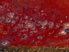 Blod landscape (Landscape)