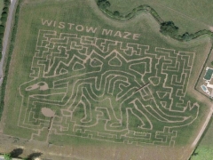 Dinosaur maze field