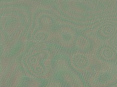 Gasoline (Pollution)