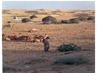 Colorful textures (Landscape) - similarity