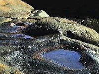 Heart pond (Look Like) - similarity