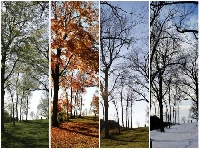 3 seasons (Before / after) - similarity