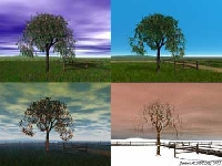 3 seasons (Before / after) - similarity