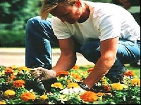 Spy gardening (People) - similarity