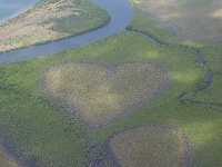 Earth in love (Voh) (Landscape) - similarity