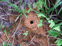 Dot landscape (Human made) - similarity