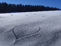 He love Tiff (Look Like) - similarity