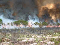 Burned road (Event) - similarity