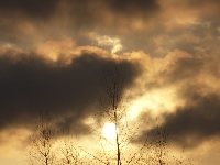 Vanilla cloud (Landscape) - similarity