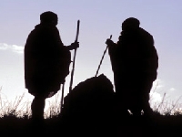 Profil (Look Like) - similarity