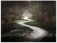 White path (Human made) - similarity